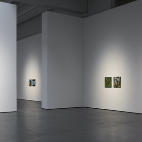 Uwe Wittwer, A short parade, exhibition view. Courtesy of Galerie Judin