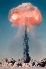 Bomba atomica. Una guerra atomica porterebbe al collasso degli ecosistemi
