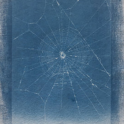 Image for Concept. Courtesy of Southeast Museum of Photography