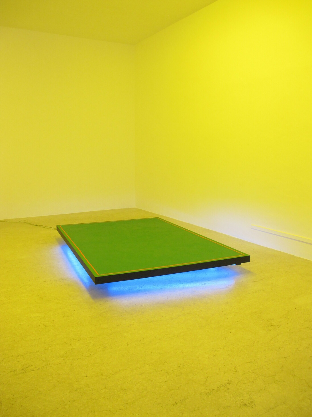 Davide Mancini Zanchi,  Celica, acrilico, carta adesiva (carbon-look) su tela, neon, vista dell'intallazione Blitzen Benz, 2014. Courtesy AplusB, Brescia