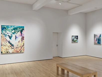 Tim Braden, I can see all the colours now, exhibition view. Courtesy of Frestonian Gallery 