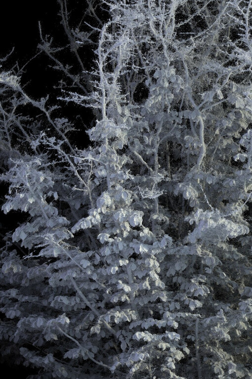 Vestiges. Courtesy of Galerie Charlot