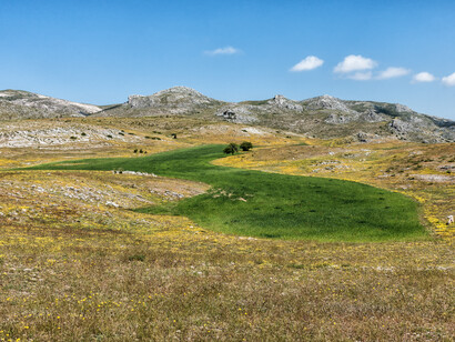 El estudio tiene su epicentro en el pasto comunal de Los Campos de Hernán Perea, una zona rural del municipio de Santiago-Pontones donde diversos rebaños son monitoreados, Jaén, España
