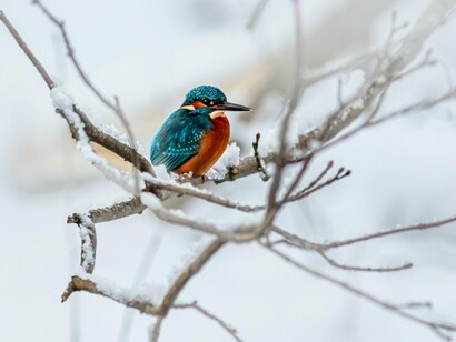 We should spread the abundance approach so it can positively impact others and even the environment