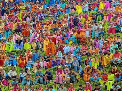 I colori della folla