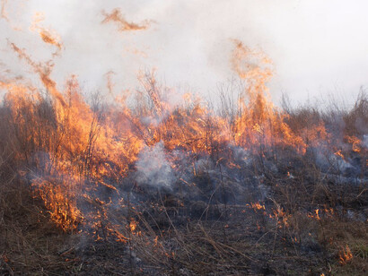 Meredith Foster: Fire and Fat. Courtesy of CAM 