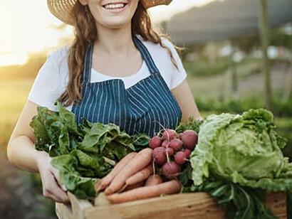 Abundant autumn harvest showcases the bounty of the season's crops, celebrating nature's generosity and the rewards of sustainable cultivation