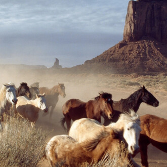 The Long Road to Now. Courtesy of The Wolfsonian 