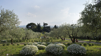 Il giardino di Santa Maria Novella
