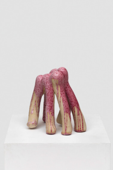 Elsa Sahal. Courtesy of Nathalie Karg Gallery