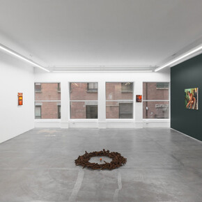 Alannah Farrell, Solastalgia, exhibition view. Courtesy of Anat Ebgi