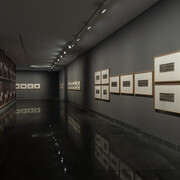 Eadweard Muybridge, exhibition view. Courtesy of Museo Universidad de Navarra