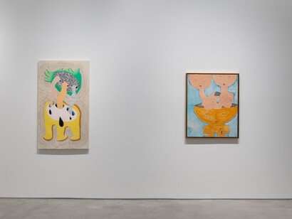 Thiago Barbalho and Antonio Henrique Amaral, Organic fictions, exhibition view. Courtesy of Galeria Nara Roesler