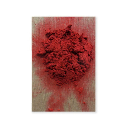 Bosco Sodi. Courtesy of Galeria Carles Taché