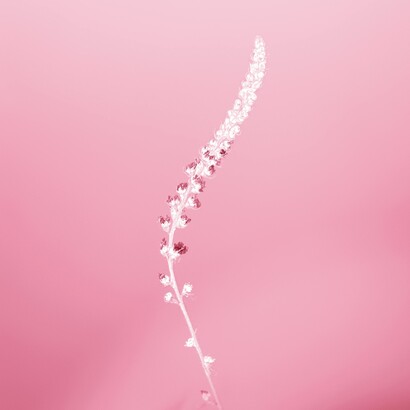 Le ministère de la Motivation créerait un environnement de travail plus positif