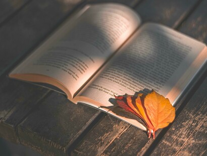 A literatura é um oceano infinito onde as palavras flutuam como flores de lótus, revelando a beleza oculta do efêmero