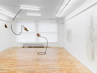 But both are sensitive. Courtesy of Projet Pangée