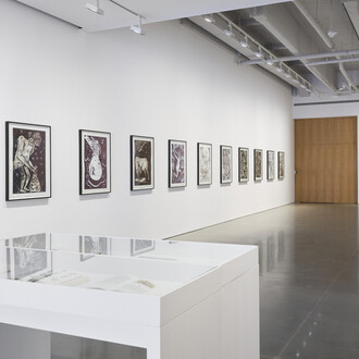 Dr. Lakra y Miguel Covarrubias, Contracorrientes, vista de exhibición. Cortesía de kurimanzutto