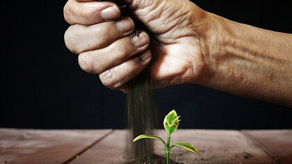 Agricultura sostenible