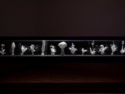 Julian Charrière. Courtesy of Aargauer Kunsthaus
