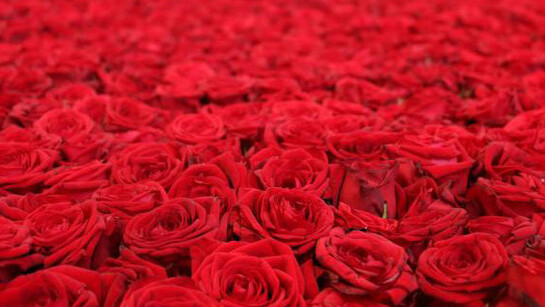 Avery, Froment, Gallaccio, Hiorns, Empire, Sedira. Courtesy of National Galleries of Scotland