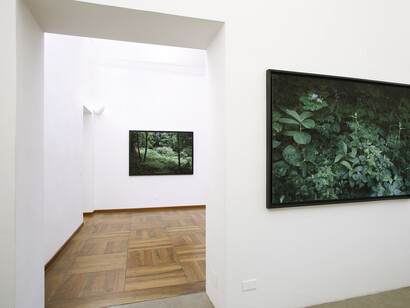 Gioberto Noro, Exhibition view. Courtesy of Alberto Peola