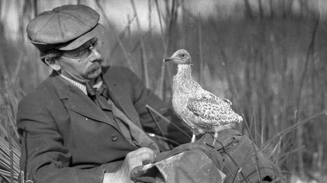 Catching Birds with a Camera. Courtesy of Oregon Historical Society