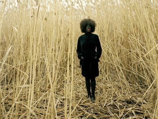 Simmons Xaviera, One Day Standing, Rubell Family Collection