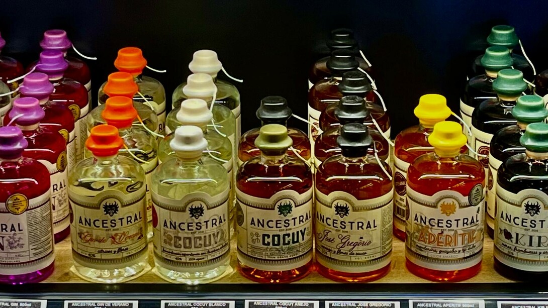 Carlos Vogeler, cofundador de Destileros Ancestrales, lidera junto a su primo Sebastián Triolet una destilería artesanal en Caracas que ha ganado reconocimiento internacional por la calidad e innovación de sus bebidas espirituosas