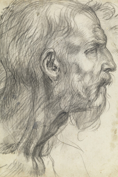 Andrea del Sarto (1486–1530) Study of a Bearded Man in Profile (detail), c. 1526–27 Black chalk, possibly with gray wash 8 9/16 x 7 1/8 inches Galleria degli Uffizi, Gabinetto Disegni e Stampe, Florence, by permission of the Ministero dei beni e delle attività culturali e del turismo