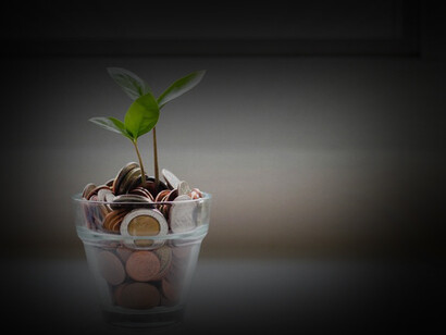 Piantina su monete. La parsimonia è un concetto da rispolverare e riscoprire