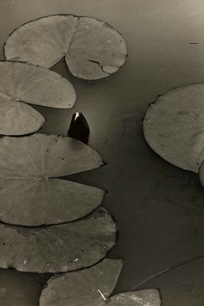 Benita Koch-Otte. Water Lily, ca. 1930. Image courtesy of Zeit Contemporary Art, New York