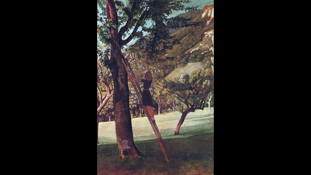 Balthus. Courtesy of Fondation Beyeler