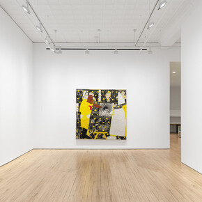 Trenton Doyle Hancock, Torpedoboy and the revisionist mystery, exhibition view. Courtesy of James Cohan Gallery