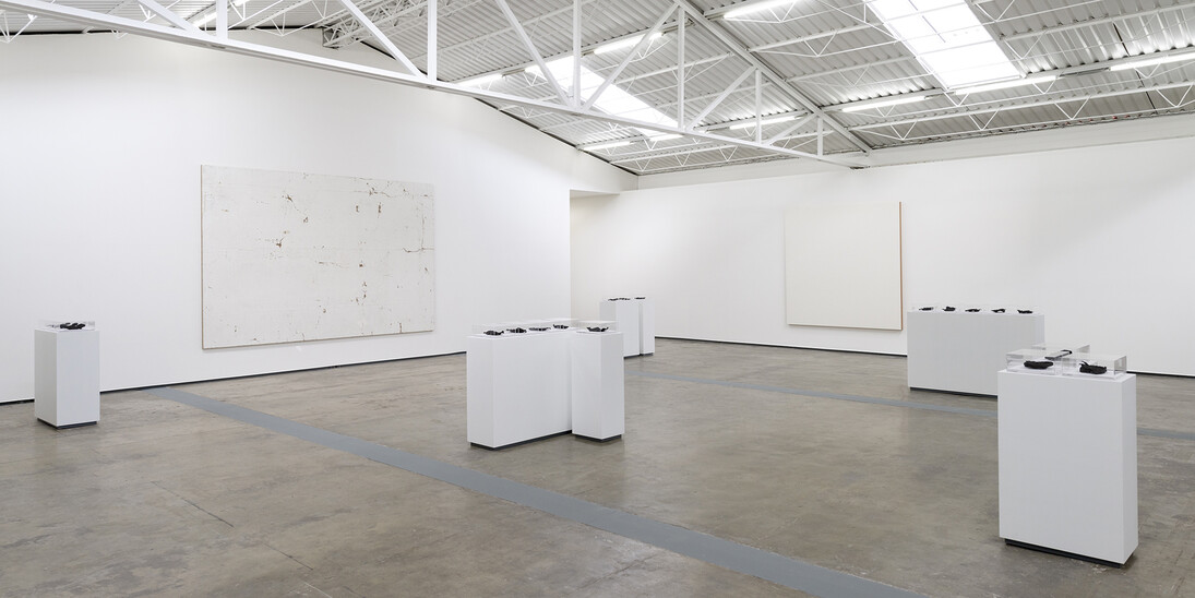 Vista del montaje Entropías, 2018. Foto: Rodrigo Viñas. Cortesía del artista y Proyectos Monclova