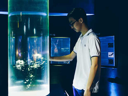 Marine Alcove. Courtesy of Science Centre