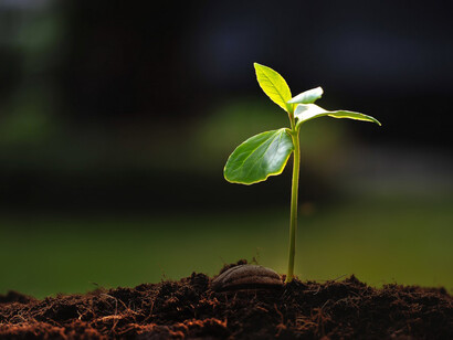 During an LCA we evaluate the potential environmental impacts throughout the entire life cycle of a product or service