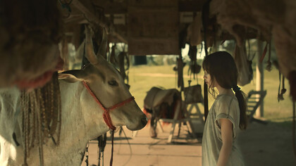 My Mother is a Cow (Minha Mãe é uma Vaca), directed by Moara Passoni, Brazil, 2024, 15 minutes