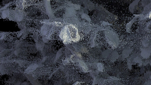 Vestiges. Courtesy of Galerie Charlot