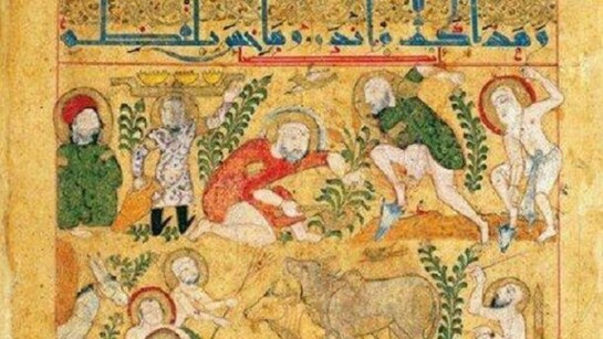 El Kitab al-Diryaq es una de las obras que han servido de referencia a la medicina natural moderna