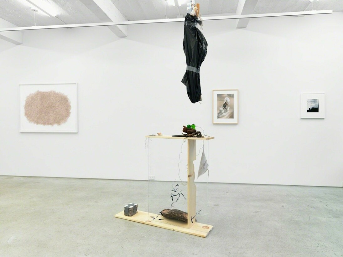 The Garden of Forking Paths, Exhibition view. Courtesy of Magenta Plains