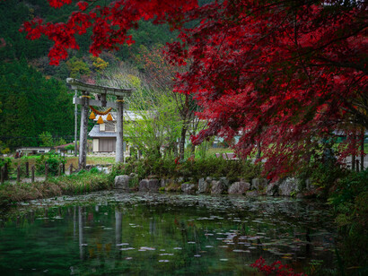 En Occidente predomina la desorientación, pero la orientación es casi siempre una forma solapada de violencia