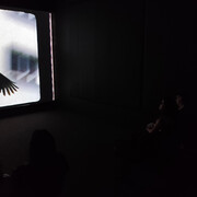Luiz Roque, Urubu, vista da exposição. Cortesia da Pinacoteca