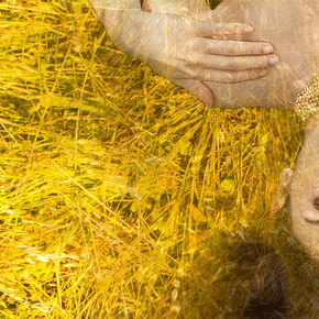 Francesca Manetta, Giardini Allegorici, Cap.III: Sol Stat, dettaglio dell'installazione, 2017, stampa fine art giclée su carta Hanhemuhle