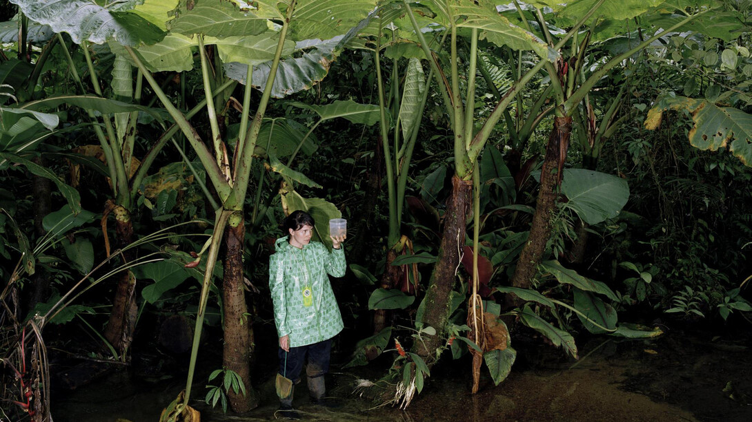 Sanna Kannisto: Close Observer, 2010.