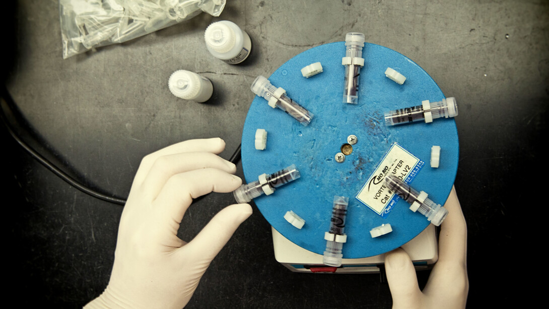 Laboratorio DNA, Università di Michigan 