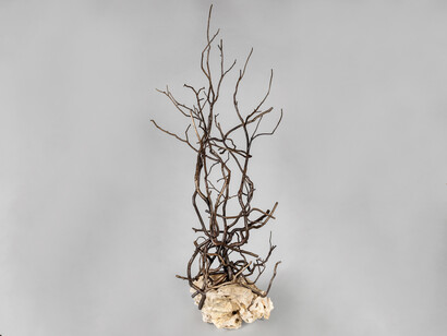 Sherry Owens, The first tree on the moon, 2025-26. Courtesy of Cris Worley Fine Arts