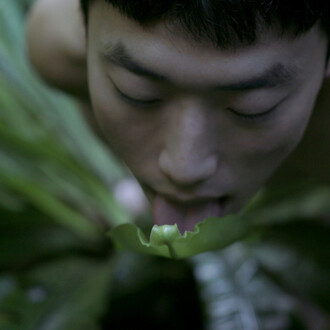 Garden of Earthly Delights. Courtesy of Martin Gropius Bau