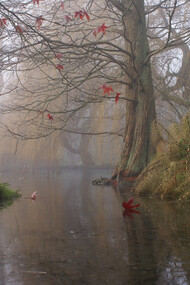 The melancholy season