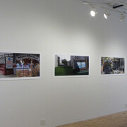 East Harlem Diptychs. Courtesy of Carter Burden Gallery 